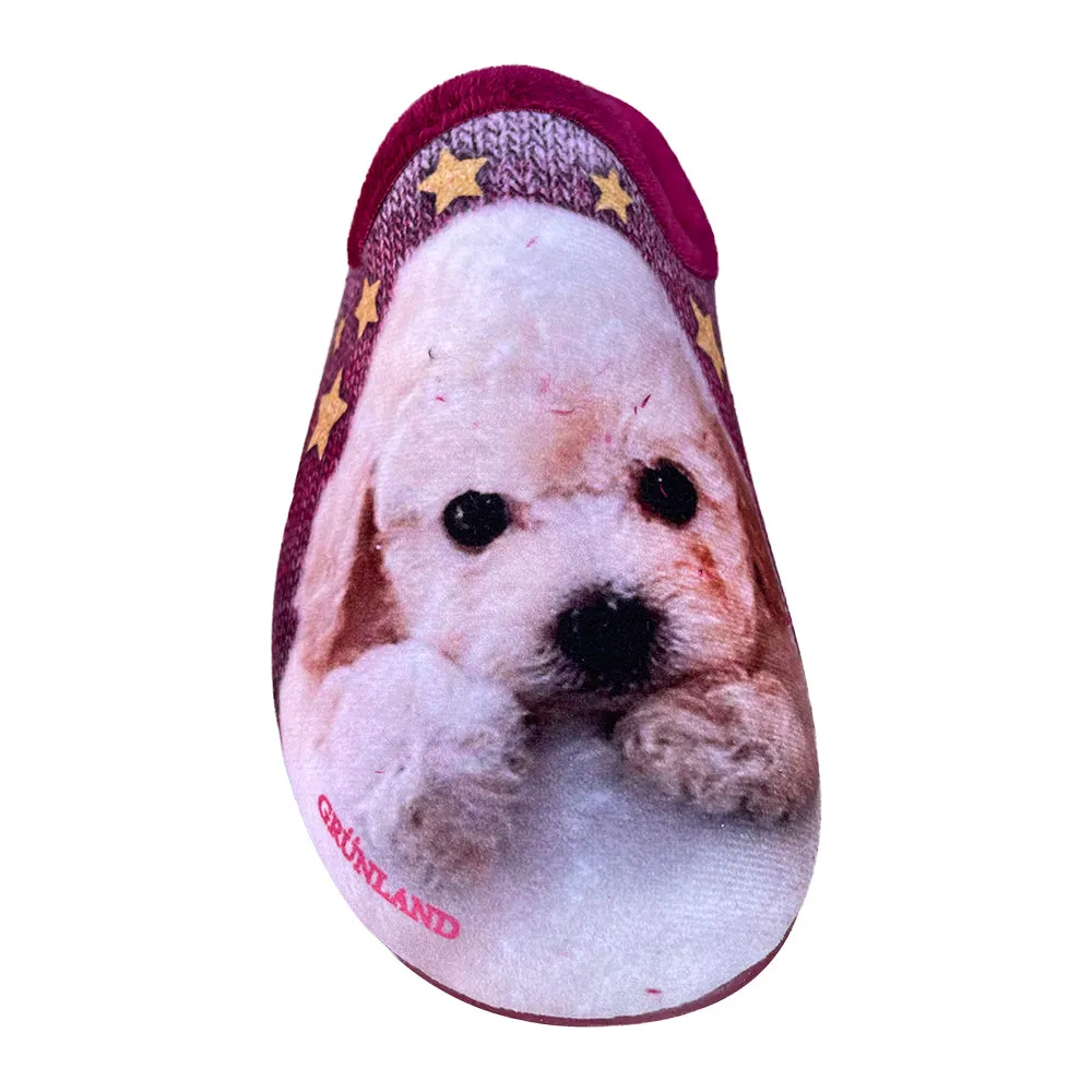 Faye CI2407 Dog Slipper Bordo