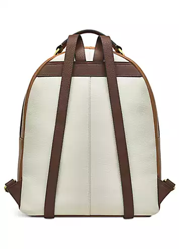 Radley London Witham Road - Colour Block Medium Ziptop Backpack | Kaleidoscope