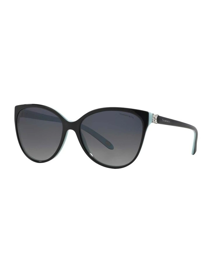 TF4089B Black Polarised Sunglasses